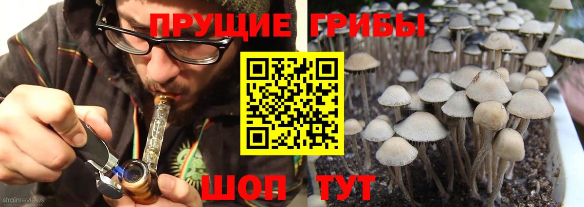 купить наркотики цена  Галлюциногенные грибы GOLDEN TEACHER  Вход с VPN  Снежинск 